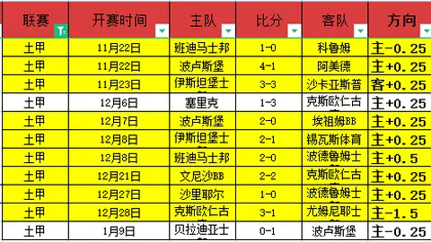 威爾士0-4敗給丹麥，多爾貝里助陣創紀錄，贝尔表現失色