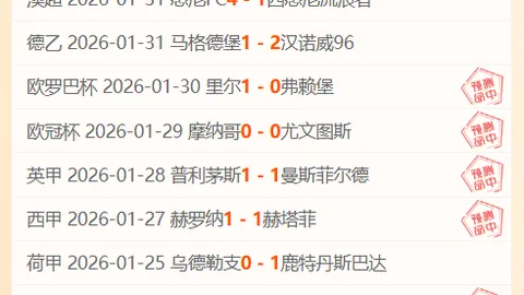 “解放者杯风云变幻：六胜五负，战绩悬殊背后揭秘冰火两重天之谜！”